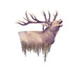 Elk and Forest. Watercolor Double Exposure effect