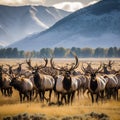 Ai Generated illustration Wildlife Concept of Elk Herd Royalty Free Stock Photo