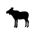 Elk moose cow mammal black silhouette animal Royalty Free Stock Photo