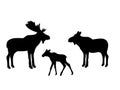 Elk moose mammal black silhouette animal