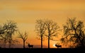 Elk Silhouette Royalty Free Stock Photo