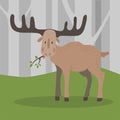 Elk in the spring forest. Elk is standing in the forest. Moose chewing on a branch.