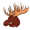 Elk. Vector illustration of a bull moose wild animal. Wildlife