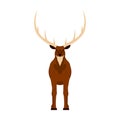 Elk vector illustration icon front view. Wildlife deer mammal art nature with horn. Antler head cartoon forest fauna zoo