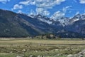 Elk viewing at the Rocky Mountain National Park Royalty Free Stock Photo