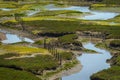 Elkhorn Slough Reserve, Monterey Bay, California