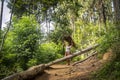 ELLA, SRI LANKA - 10 NOVEMBER, 2019: A woman with a bundle of wood on her head is walking along a forest path