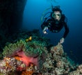 Exploring the underwater world in the Maldives Royalty Free Stock Photo