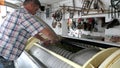 Farmer filling grapes into a wine press machine to pressing out white wine gapes.