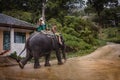 Elephant tour, Phuket - Thailand