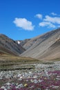 Ellesmere Island Stream