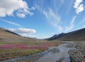 Ellesmere Island Stream