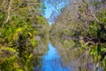 Ellie Schiller Homosassa Springs Wildlife State Park Royalty Free Stock Photo