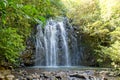 Ellinjaa Falls Atherton Tablelands Royalty Free Stock Photo