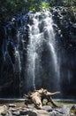 Ellinjaa Falls in Atherton Tablelands, Australia Royalty Free Stock Photo