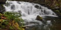 Elliot Creek, Washington State