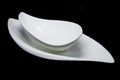 Elliptical porcelain dishes