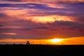 Ellis County, KS USA - Deer Couple Enjoying Evening Sky Spectacle on the Kansas Prairie Royalty Free Stock Photo