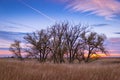 Ellis County, KS USA- Prarie in Western Kansas at Sunset