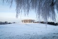 Elm grove at Woodland Cemetery in Stockholm