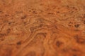 elm root wood texture with wavy grain Royalty Free Stock Photo