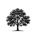 Elm tree icon in simple line art style Royalty Free Stock Photo