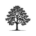 Elm tree icon in simple line art style Royalty Free Stock Photo