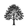 Elm tree icon in simple line art style Royalty Free Stock Photo