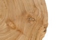 Elm tree trunk showing growth rings. Royalty Free Stock Photo