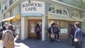 Elmwood Cafe Shut Down