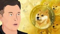 Elon Musk and Dogecoin DOGE cryptocurrency, shiba inu dog face on coin