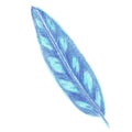 Elongate blue watercolor pencils tropic leaf isolated on white background. Template, print, ornament for wrapping paper, textile