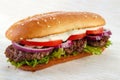 Elongated hamburger Royalty Free Stock Photo