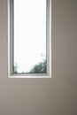 Elongated Window