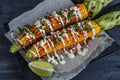 Elote or Mexican grilled corn on the cob served with cotija cheese and chili powder.