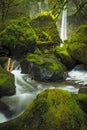Elowah Falls Royalty Free Stock Photo