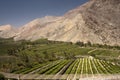 Elqui valley Royalty Free Stock Photo