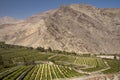 Elqui valley Royalty Free Stock Photo