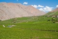 Elqui valley, Chile Royalty Free Stock Photo