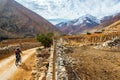 Elqui Valley Mountain Biking Royalty Free Stock Photo