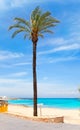 Els Pujols formentera beach with turquoise water Royalty Free Stock Photo