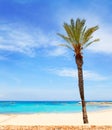 Els Pujols formentera beach with turquoise water Royalty Free Stock Photo