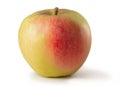 Elstar apple isolated against white background Royalty Free Stock Photo