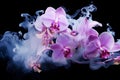 Elusive Orchids flower smoke. Generate Ai Royalty Free Stock Photo