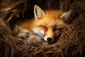 Elusive Sleeping wild fox. Generate Ai Royalty Free Stock Photo