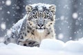 Elusive Snow leopard winter. Generate Ai
