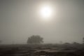 Elusive White Rainbow, Dead Vlei, Sossusvlei National Park, Namibia Royalty Free Stock Photo