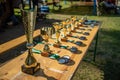 Golden cups and medals laying at wooden table at Tartu Summer School competition.