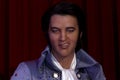 Elvis Presley Royalty Free Stock Photo