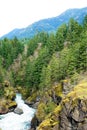 Raging torrent drains in the Elwha watershed
